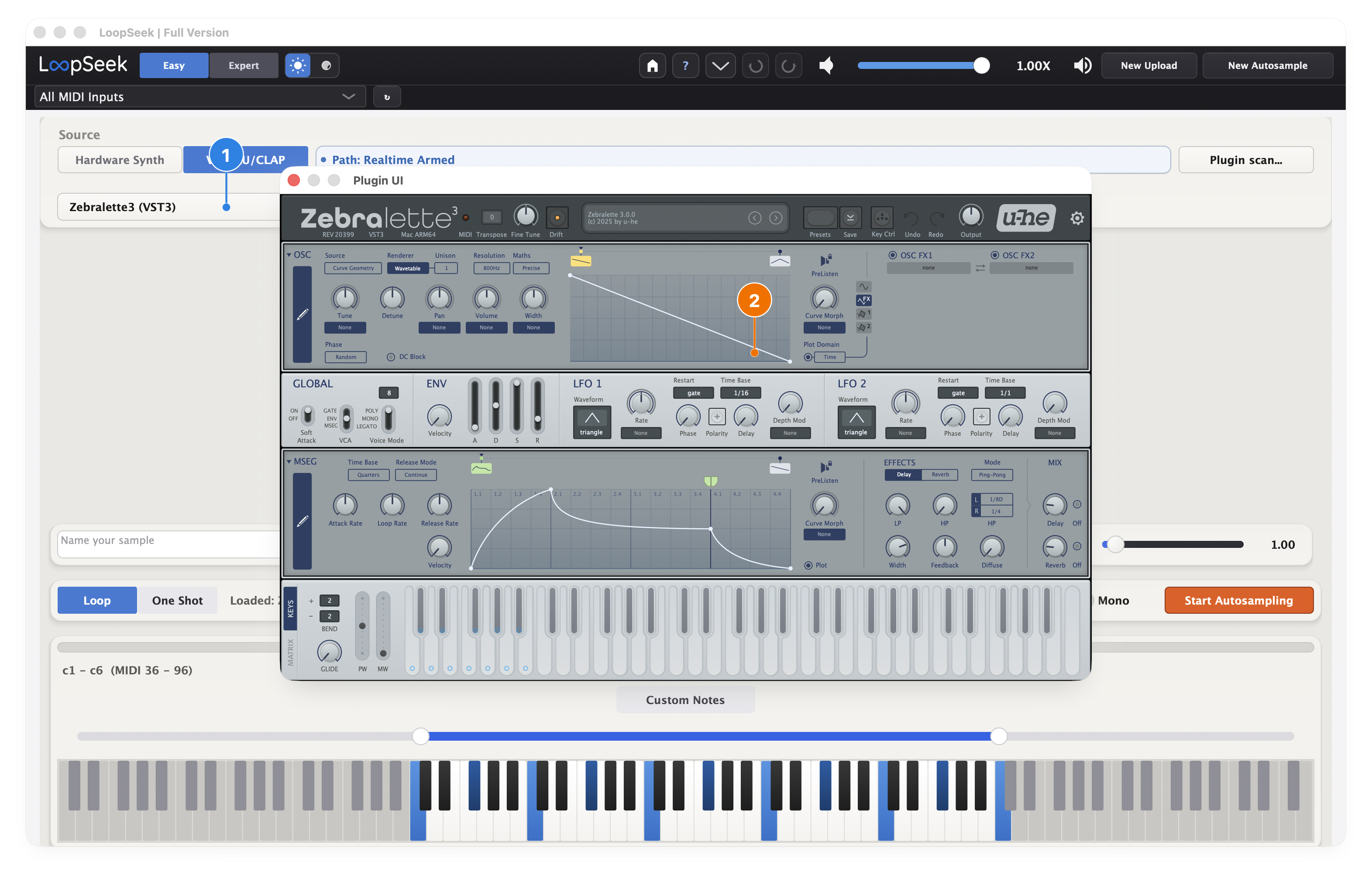 Plugin UI open with pins