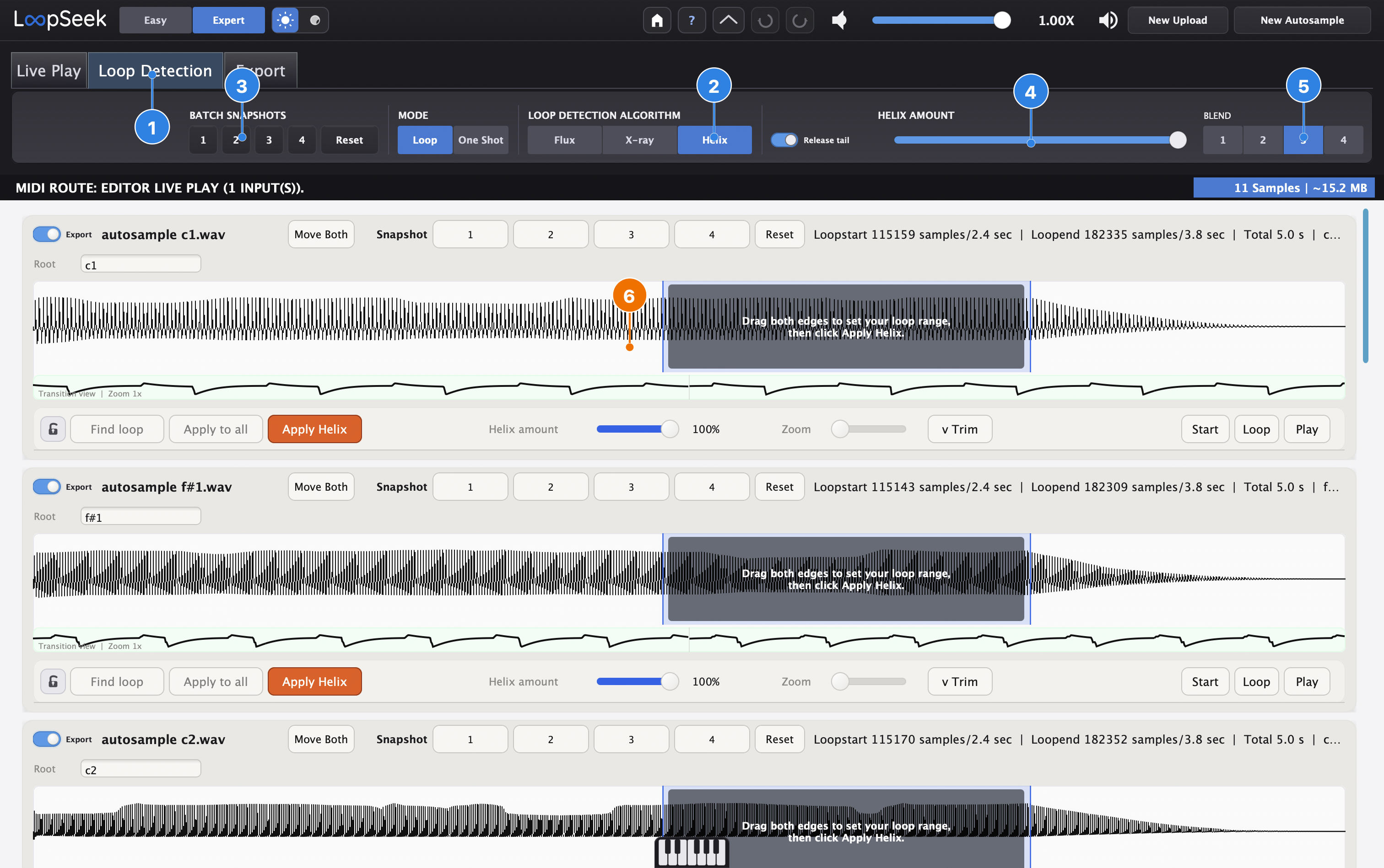 Editor Loop Detection Helix